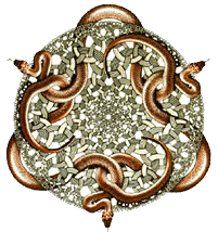 Snakes by M. C. Escher