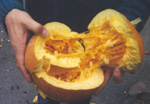 Epopt Bunger Mulkin!'s Pumpkin Entrails